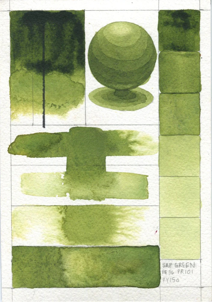 Qor Modern Watercolor 11ml Series 2 Sap Green